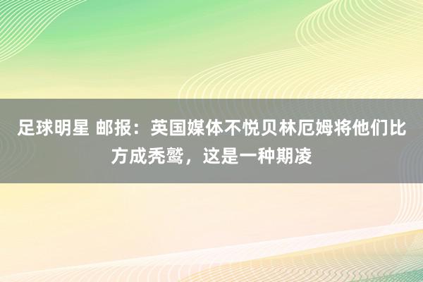 足球明星 邮报：英国媒体不悦贝林厄姆将他们比方成秃鹫，这是一种期凌