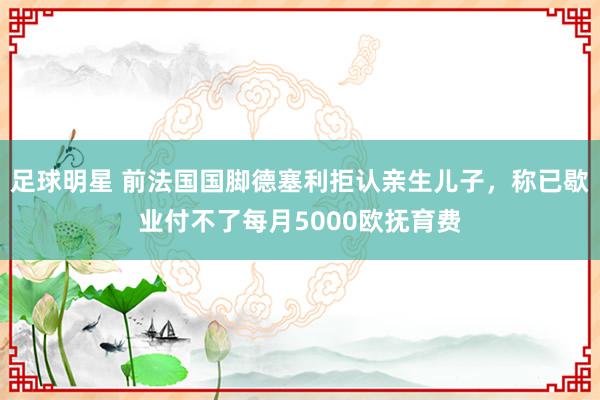 足球明星 前法国国脚德塞利拒认亲生儿子，称已歇业付不了每月5000欧抚育费