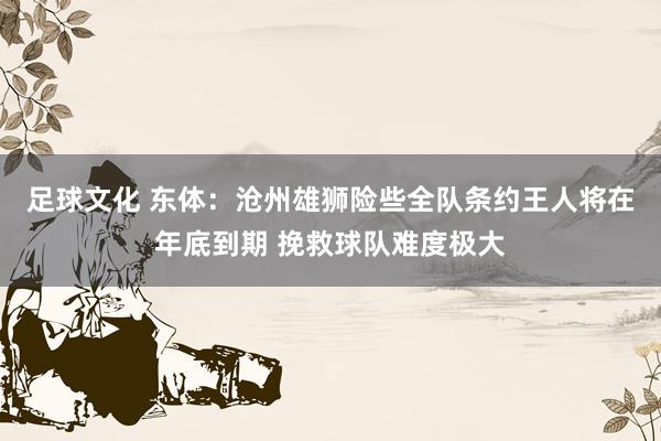 足球文化 东体：沧州雄狮险些全队条约王人将在年底到期 挽救球队难度极大