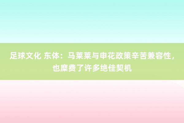 足球文化 东体：马莱莱与申花政策辛苦兼容性，也糜费了许多绝佳契机