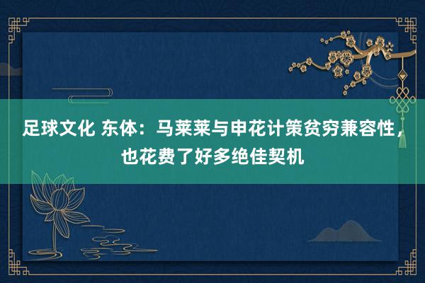 足球文化 东体：马莱莱与申花计策贫穷兼容性，也花费了好多绝佳契机