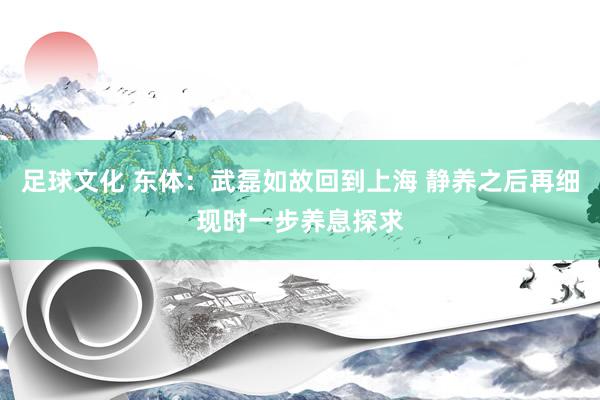 足球文化 东体：武磊如故回到上海 静养之后再细现时一步养息探求