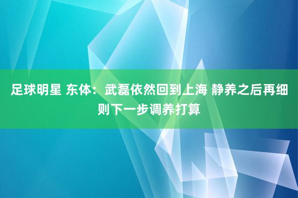 足球明星 东体：武磊依然回到上海 静养之后再细则下一步调养打算