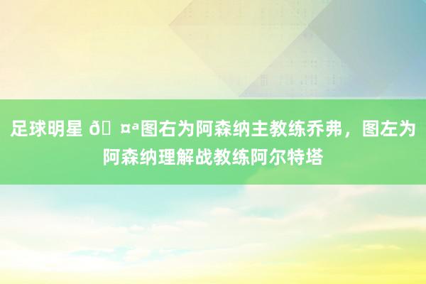 足球明星 🤪图右为阿森纳主教练乔弗，图左为阿森纳理解战教练阿尔特塔