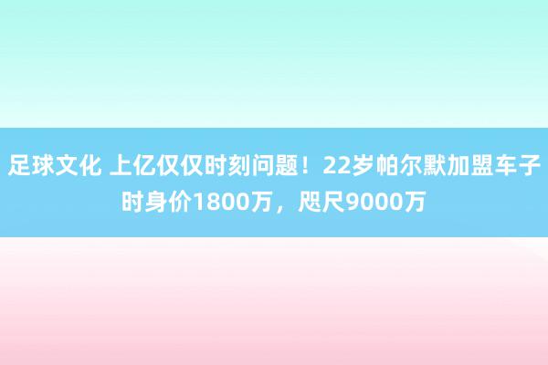 足球文化 上亿仅仅时刻问题！22岁帕尔默加盟车子时身价1800万，咫尺9000万