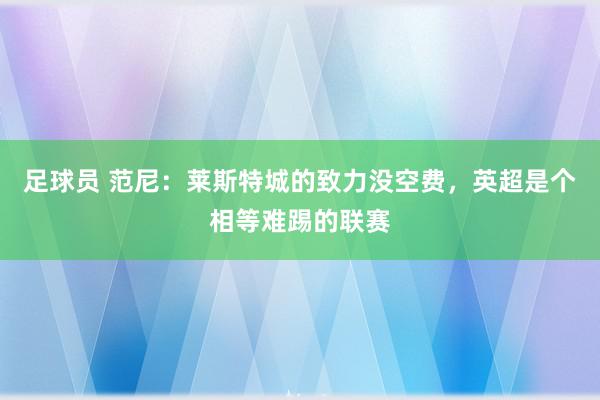 足球员 范尼：莱斯特城的致力没空费，英超是个相等难踢的联赛