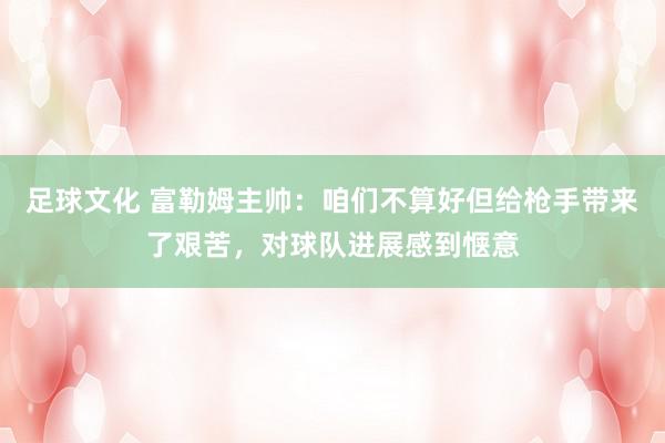 足球文化 富勒姆主帅：咱们不算好但给枪手带来了艰苦，对球队进展感到惬意