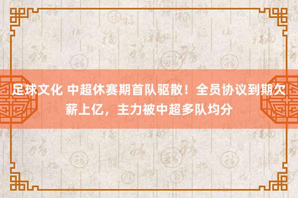 足球文化 中超休赛期首队驱散！全员协议到期欠薪上亿，主力被中超多队均分