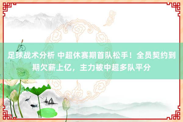 足球战术分析 中超休赛期首队松手！全员契约到期欠薪上亿，主力被中超多队平分